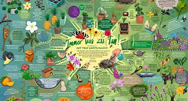 Infographics Garden Happiness